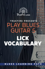 TrueFire - Play Blues Guitar 5: Lick Lexicon - DVD