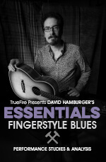 David Hamburger - Essentials: Fingerstyle Blues DVD