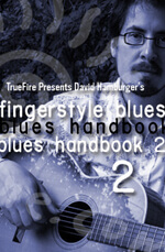 David Hamburger - Fingerstyle Blues Handbook 2 - DVD