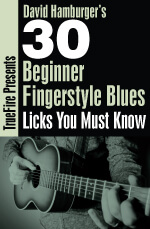 David Hamburger - 30 Beginner Fingerstyle Blues Licks You MUST Know DVD