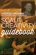 Richard Hallebeek - Scale Creativity Guidebook DVD