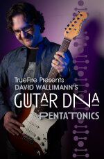 David Wallimann - Guitar DNA: Pentatonics DVD