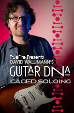 David Wallimann - Guitar DNA: CAGED Soloing DVD