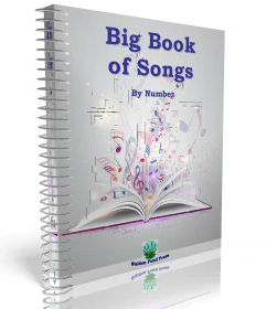 THE BIG BOOK OF SONGS - Songs By Number